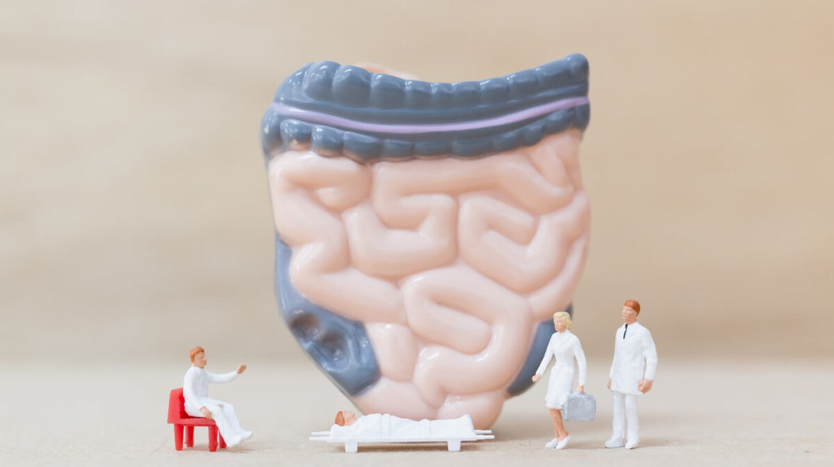 bagirsak-beyin-baglantisi-1600x1066